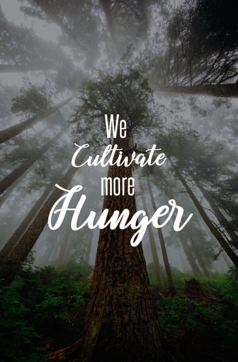 Cultivate Hunger