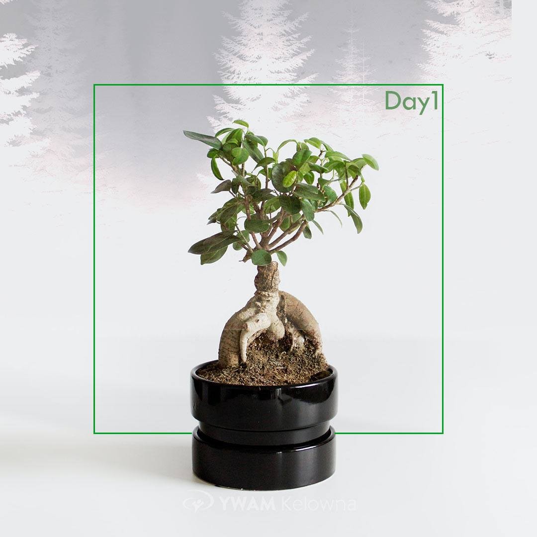 The day has arrived! Day 1 of our DTS. It seems like a long time since the inspiration to the actualization. For all those who supported and believed in us, we say thank you! Our roots are strong and go deep. 
.
.
.
.
ywamkelowna.org