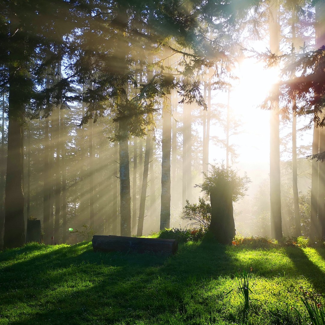There is a difference between just looking at a beam of light, and looking along, and into one. Looking at the light will only allow us to see where it is coming from and where it is going. But if we step into the light and look along it, we are allowing it to cover us. Not only are we then looking directly towards the source, but we are also affected by the light being covered in its warmth.
At the beginning of 1 John 1:5-10, we read “God is light, and in Him is no darkness at all. If we say we have fellowship with Him while we walk in darkness, we lie and do not practice the truth.” It goes on to describe how we are not in the light if we are still living in sin.
This is further reflected in Ephesians 5:13-14 “But when anything is exposed by the light, it becomes visible, for anything that becomes visible is light.” If we want to live genuinely changed lives for God, it is not enough to observe Him, but we need to be completely immersed and covered by Him, letting Him reveal our sins and allowing Him to cleanse us of them, so that we may continue to live in Him.
Photo @ywam
By Grayson
.
.
.
.
.
.