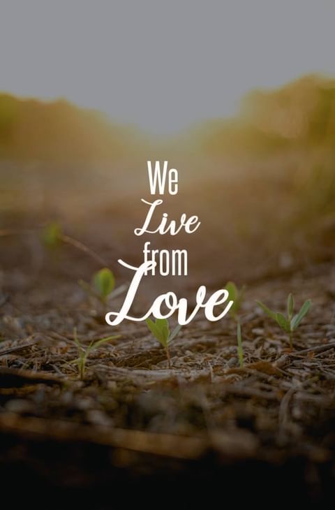 Live from Love