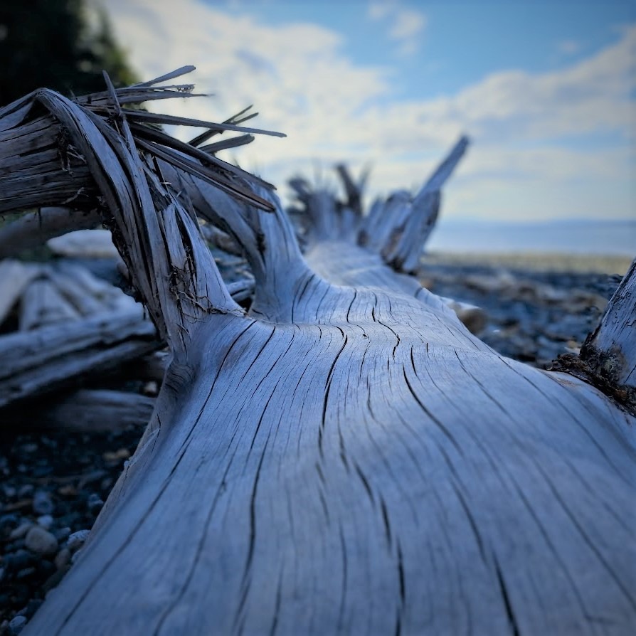 Vacationing on Vancouver Island. Shout out to @ywamvictoria ria and @ywamnanaimo aimo!
.
.